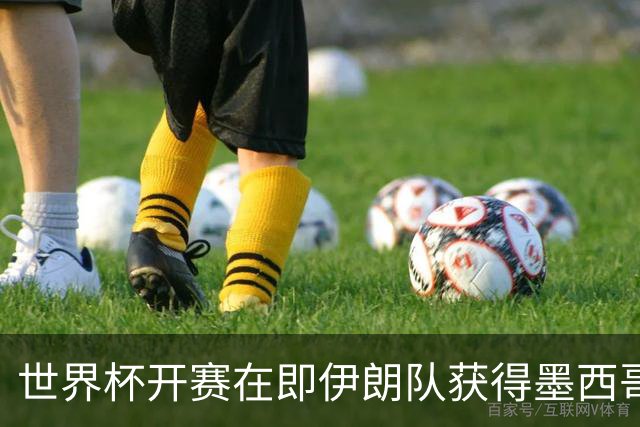 世界杯开赛在即伊朗队获得墨西哥签证 计划启程前往驻地