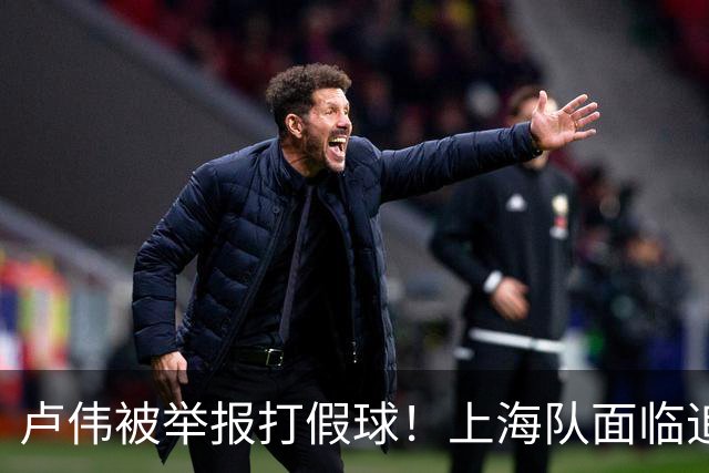 卢伟被举报打假球！上海队面临追罚，张镇麟坑惨球队